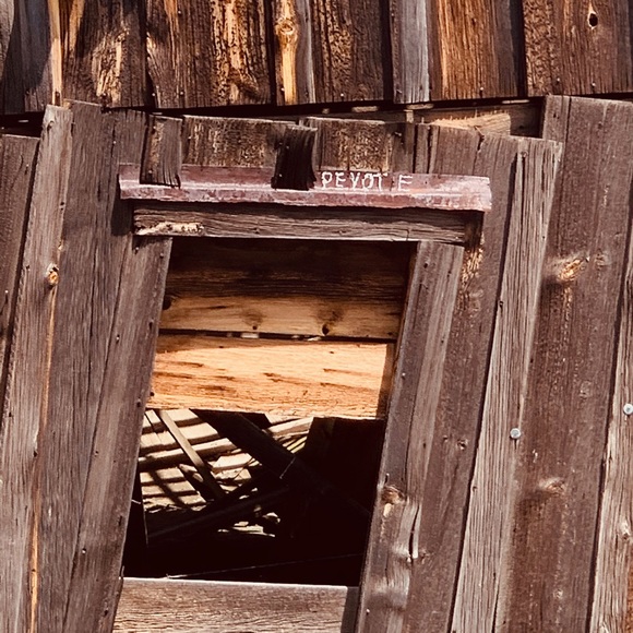 Sharing Oregon 🧡 - Picture 13 of 16